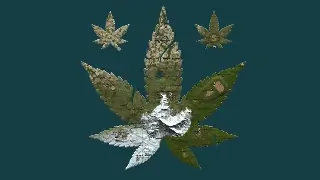 MarisIsland – 马里斯岛 v1.1-Rust可狼插件网 | Rustnm - Rust插件网